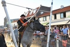 DSC_3895 (950x632)