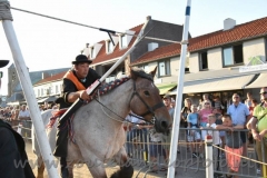 DSC_3897 (950x632)