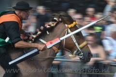 DSC_2957 (950x633)