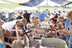 DSC_2973 (950x632)