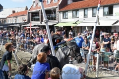DSC_2987 (950x632)