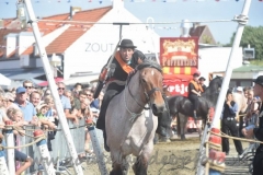 DSC_2997 (950x632)