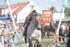 DSC_2998 (950x632)