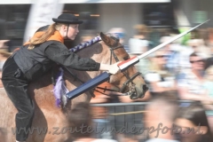 DSC_3034 (950x633)