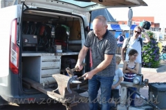DSC_3083 (950x619)
