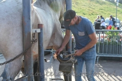 DSC_3096 (950x632)