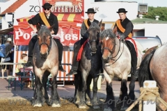DSC_3118 (950x633)