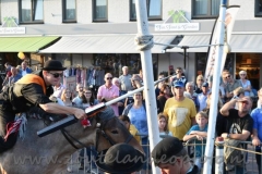 DSC_3158 (950x632)