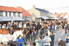 DSC_3208 (950x632)