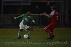 DSC_7233 (950x632)