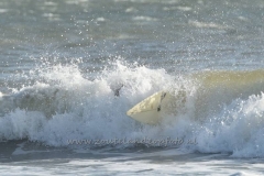 DSC_0155 (950x633)