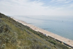 DSC_0545 (950x632)