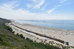 DSC_0553 (950x632)