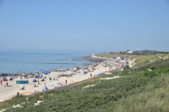 DSC_0561 (950x632)