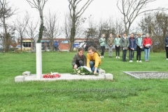 DSC_6876 (950x632)