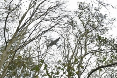 DSC_1454 (950x632)