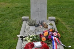DSC_2149 (433x650)
