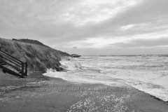 DSC_7476 (950x612)