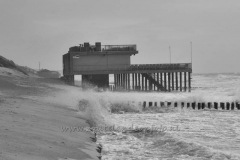 DSC_7488 (950x633)