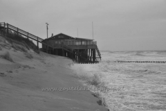 DSC_7497 (950x627)