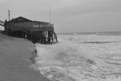 DSC_7502 (950x633)
