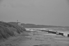DSC_7549 (950x632)