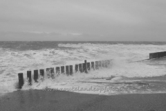DSC_7577 (950x634)