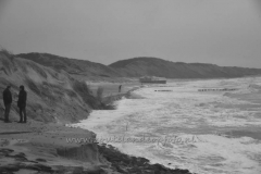 DSC_7629 (950x632)