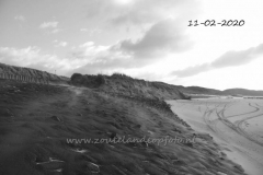 DSC_7637 (950x632)