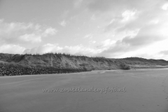 DSC_7638 (950x632)