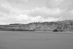 DSC_7639 (950x632)