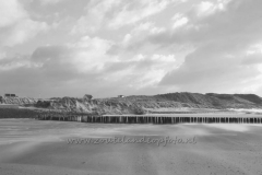DSC_7647 (950x632)