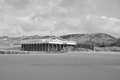 DSC_7649 (950x632)