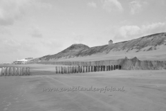 DSC_7652 (950x632)