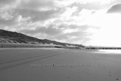 DSC_7667 (950x632)