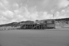 DSC_7669 (950x632)