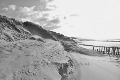 DSC_7684 (950x632)