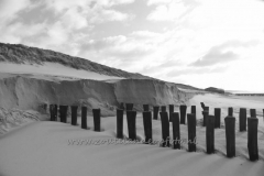 DSC_7687 (950x632)