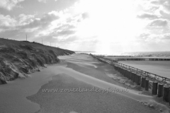 DSC_7703 (950x617)