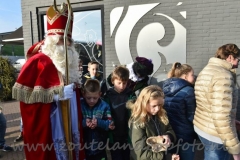 DSC_2919 (950x632)