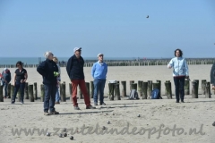 DSC_8079 (950x632)