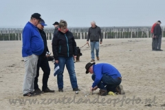 DSC_3356 (950x633)