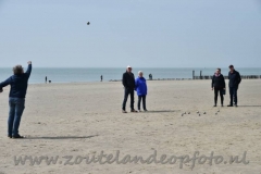 DSC_3384 (950x632)