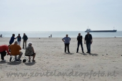 DSC_3444 (950x632)