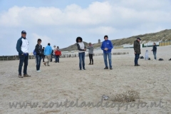 DSC_7491 (950x632)