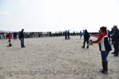 DSC_7604 (950x632)