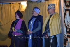 DSC_3716 (950x632)