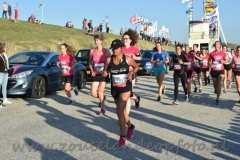 DSC_0203 (950x632)