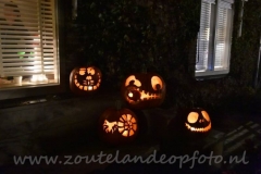 DSC_3827 (950x632)
