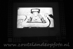 DSC_6674 (950x632)